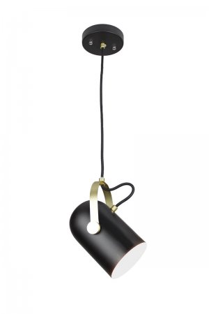 EQLight EQITPB1 Industrial Theatrical Directional Pendant Light